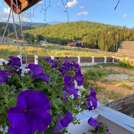 Hotel Whiteberry